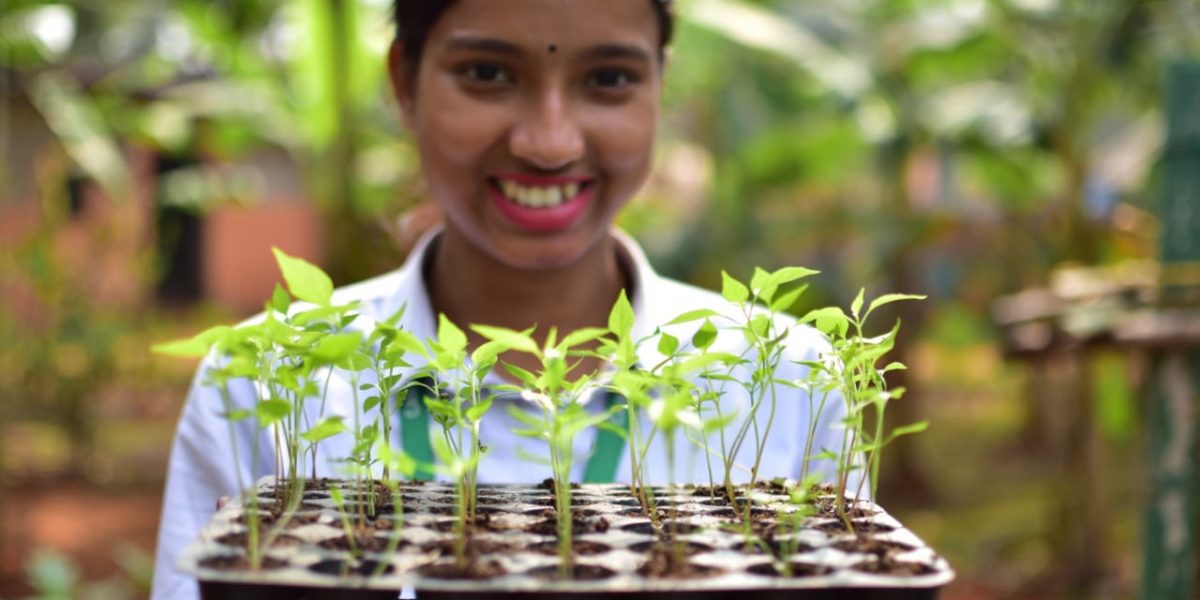 Scope of MBA in Agri-Business
