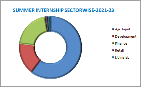 Summer-internship-sector